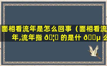 面相看流年是怎么回事（面相看流年,流年指 🦈 的是什 🌵 么）